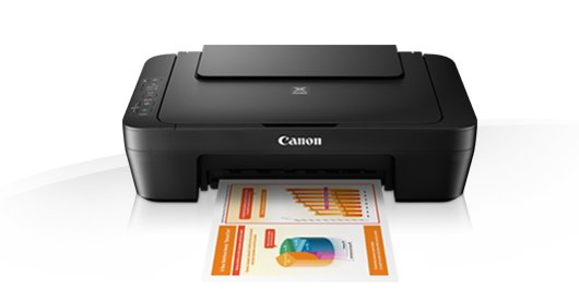 Canon printer pixma MG2550S