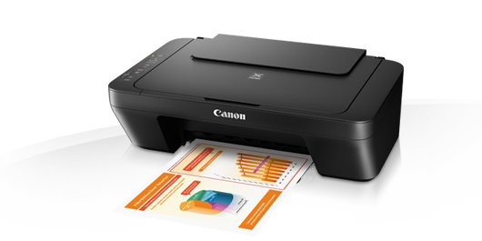 Canon printer pixma MG2550S