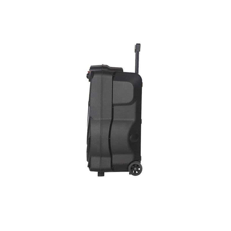 Bluetooth zvučnik, karaoke s wireless mikrofonom, NDR-V12